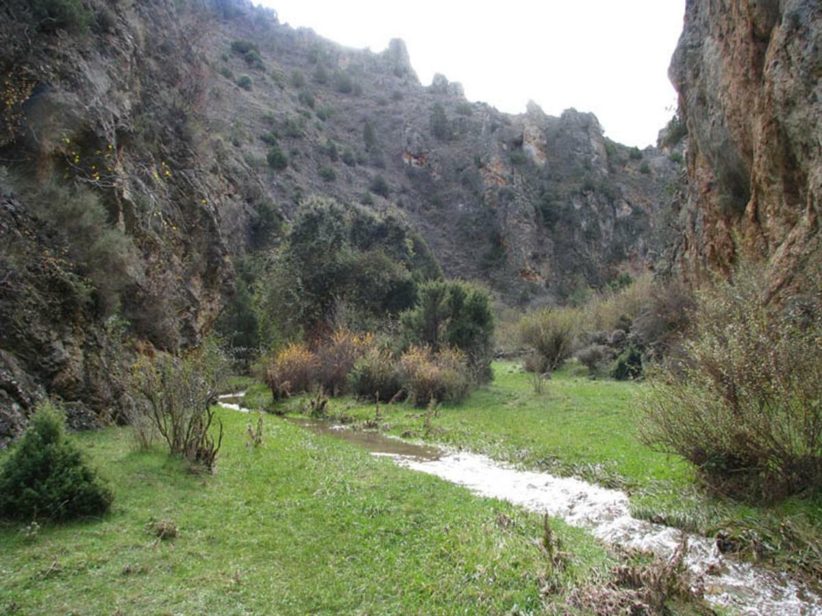 Casa La Herradura Royuela Bagian luar foto